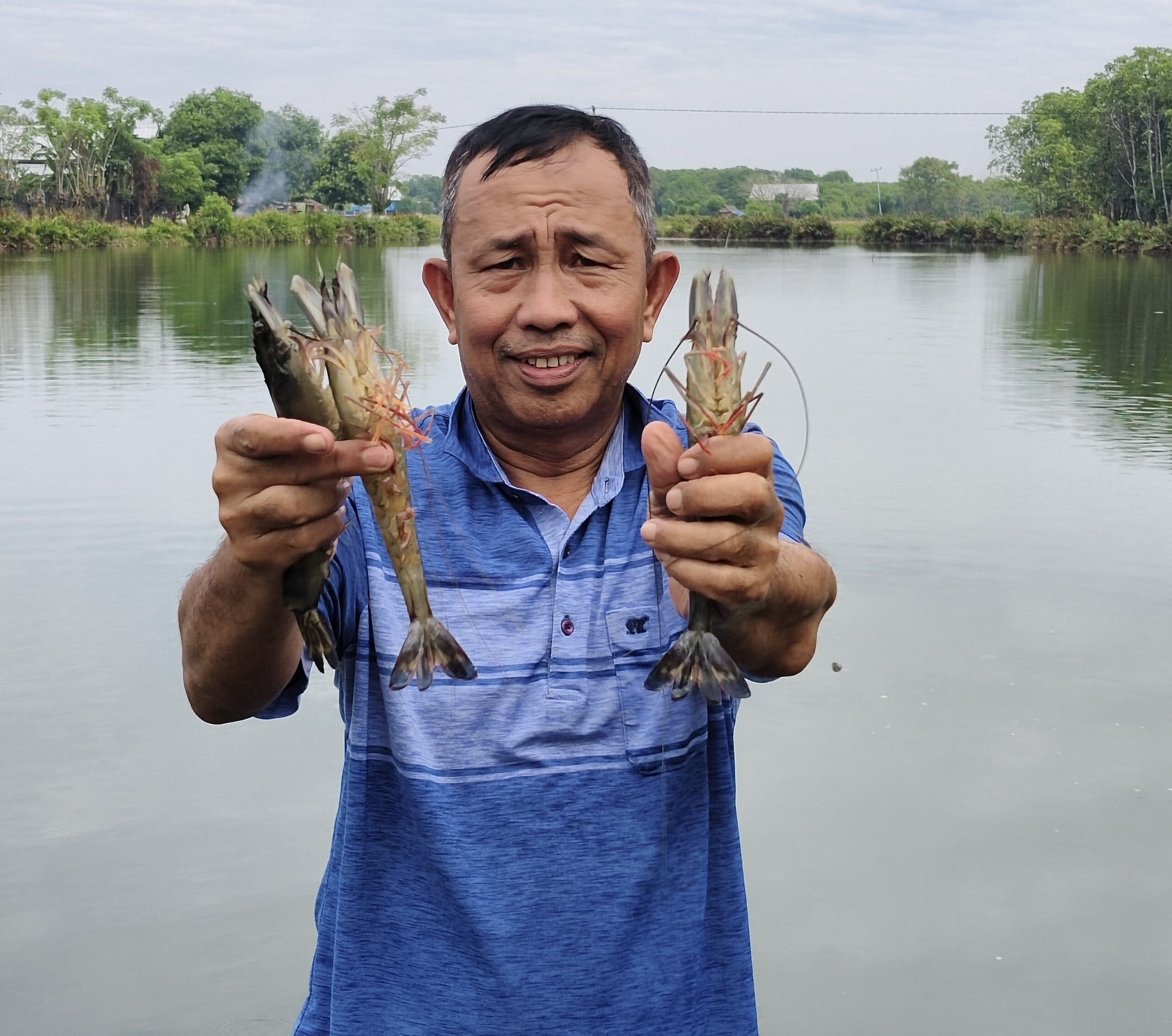 Berkat Binaan  Laznas DT Peduli Sulsel, Kampung Zakat Lakkang Panen Raya Udang