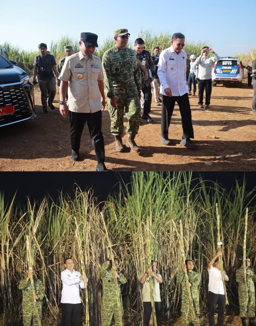Dukung Swasembada Gula Nasional, Wabup Takalar Hadiri Panen Raya Tebu TNI Bersama Gubernur Sulsel