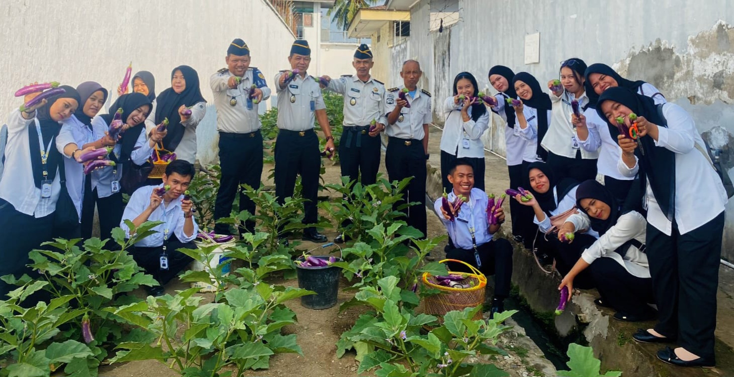 Lapas Polewali Panen Terong, Dorong Kemandirian Warga Binaan